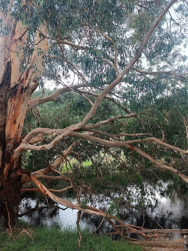 Aire River Bridge Lookout - Image 1