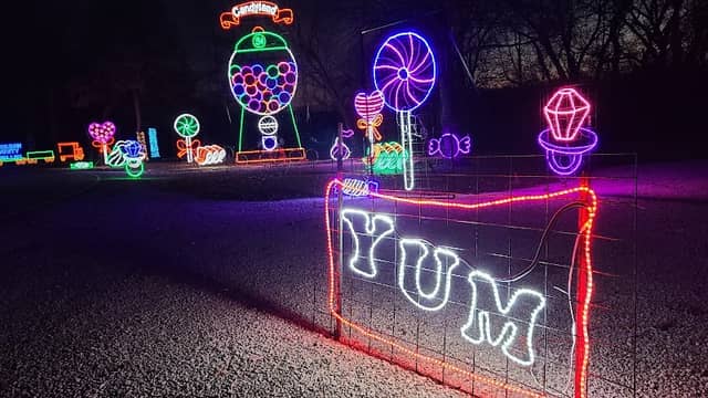 Christmas in the Park - Image 1