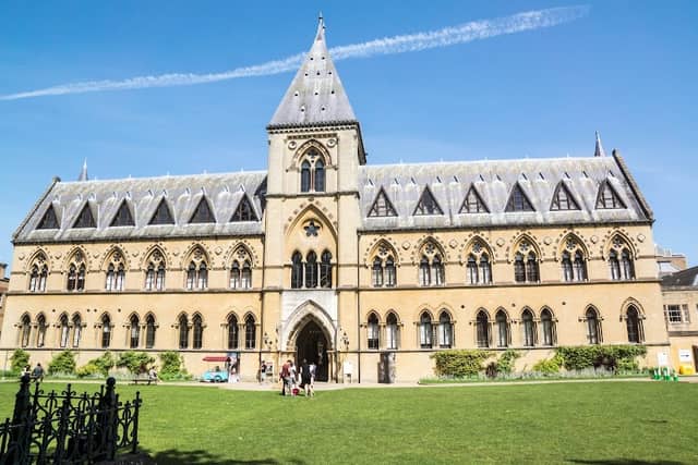 Oxford University Museum of Natural History - Image 3