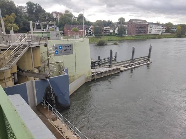 Fischlift System Baldeneysee - Image 2
