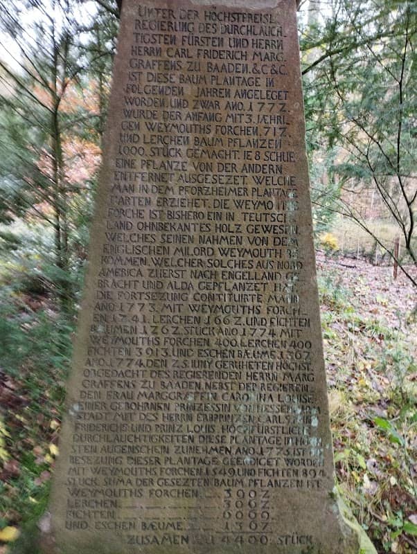 Denkmal Waldbepflanzung 1772-1774 - Image 1