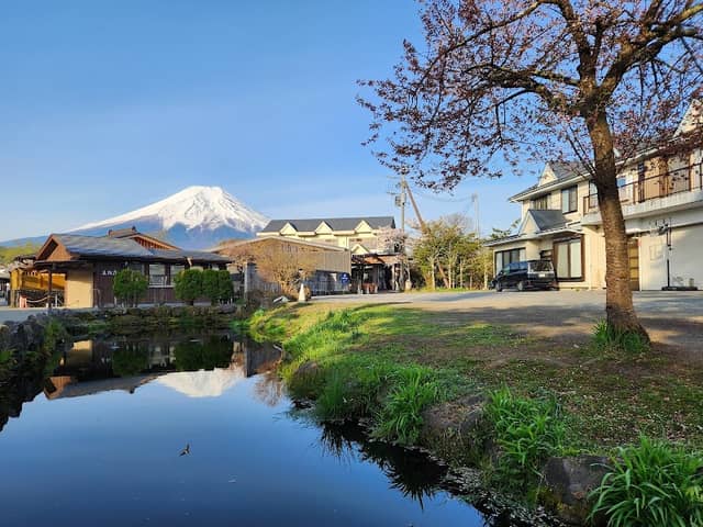 Omiya Bridge (Cherry Blossom Line along the Shinnasho River) - Image 1