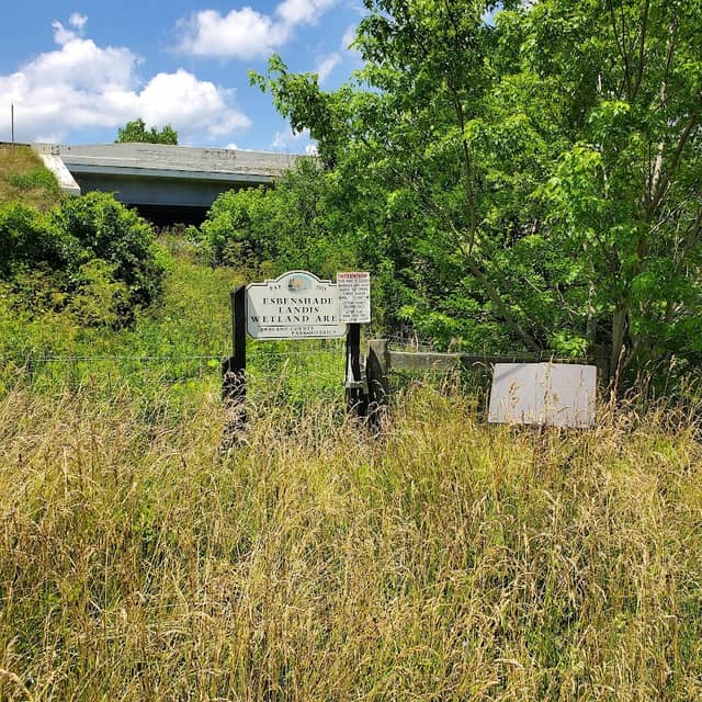 Esbenshade Wetlands - Image 2
