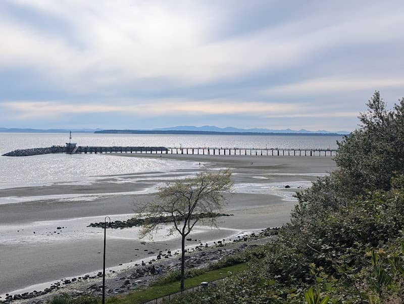 Totem Park - Image 1