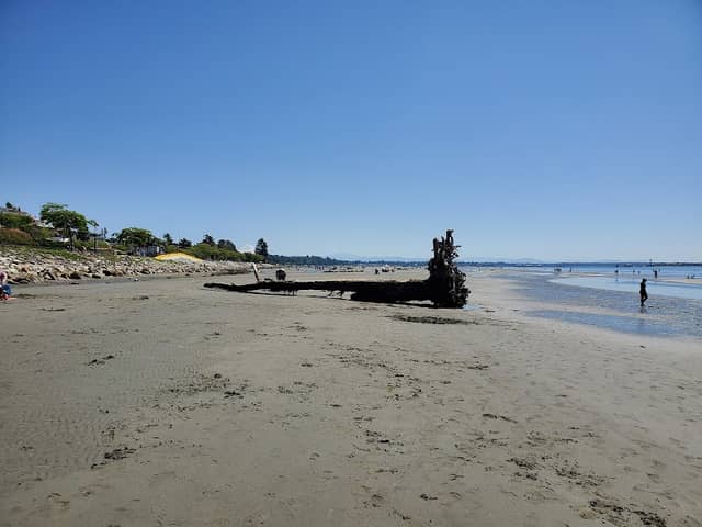 Totem Park - Image 2