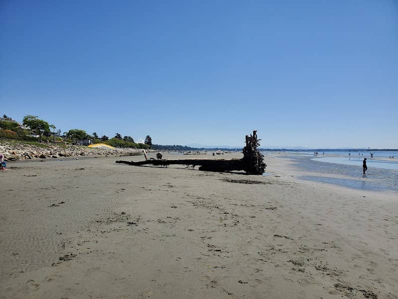 Totem Park - Image 2