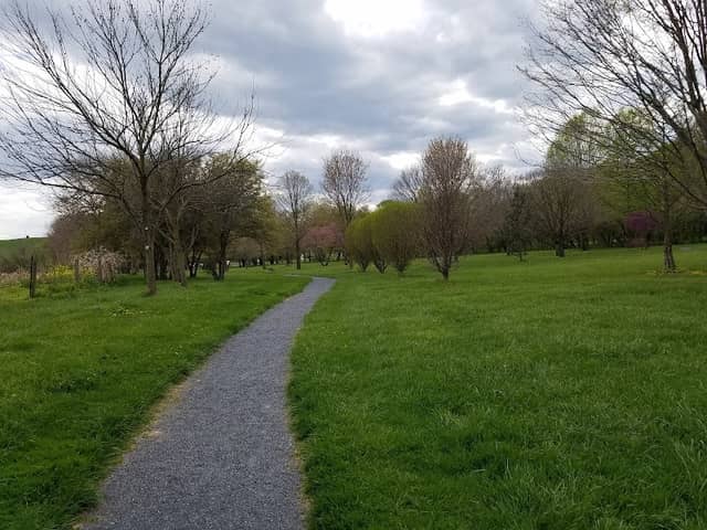 Cook's Creek Arboretum - Image 1