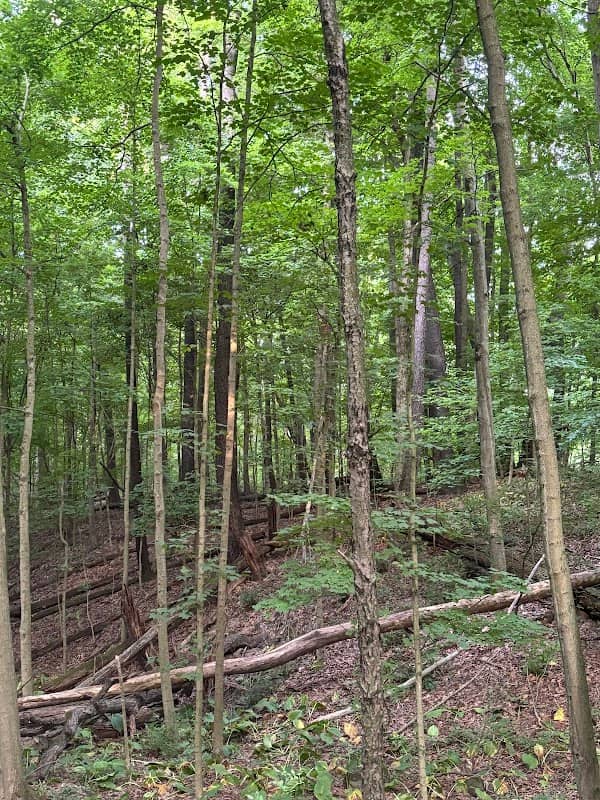 Clear Creek Park - Image 2