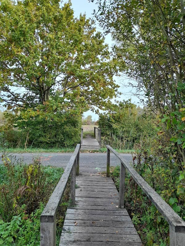 Chalet d'observation de la réserve ornithologique de Mont-Bernanchon - Image 2