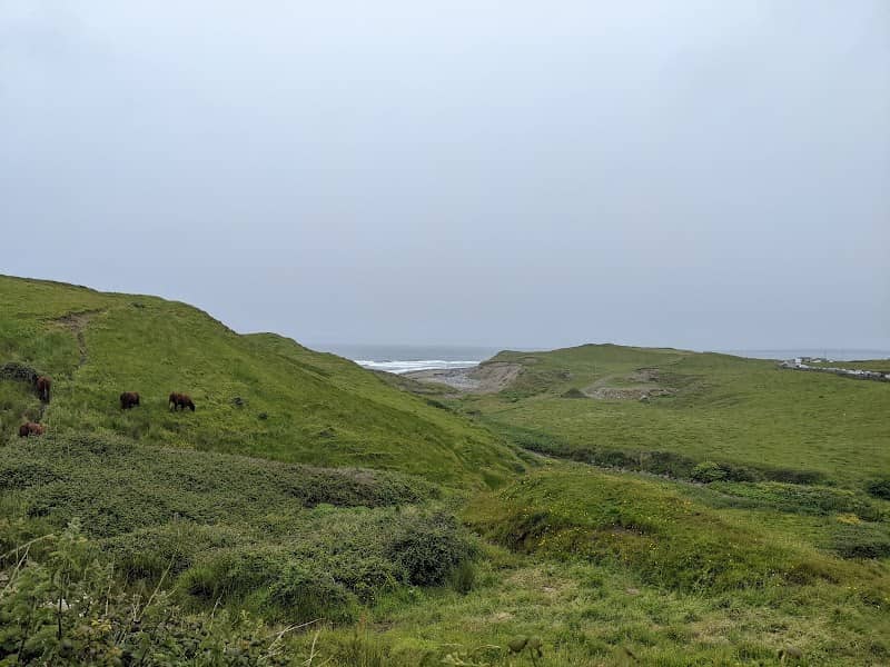 Viewpoint of Doonagore Castle - Image 3