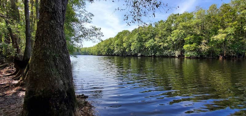 Little Pee Dee Heritage Preserve - Image 1
