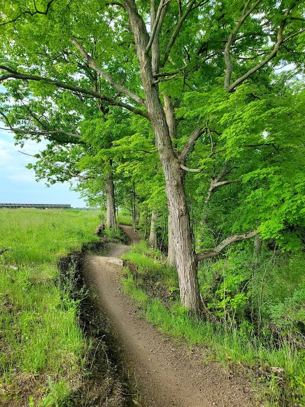 The Trails of Oakdale - Image 2