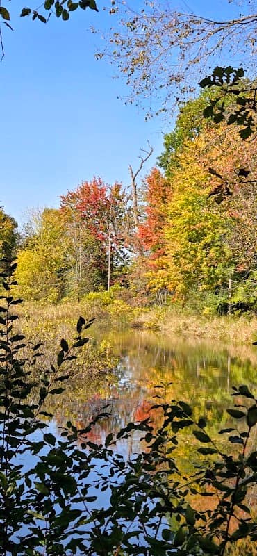 The Trails of Oakdale - Image 3