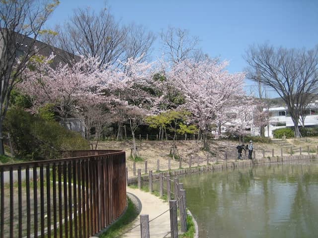 Hinoike Park - Image 1