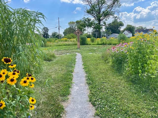 Pollinator Park - Image 2