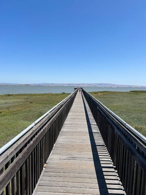 Baylands Observation Deck and Boardwalk - Image 2