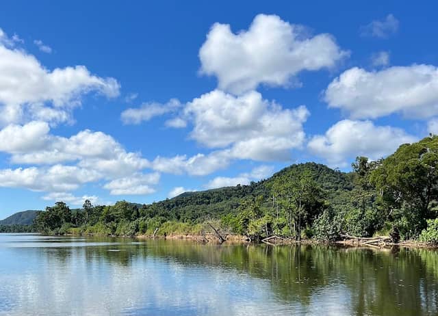 Daintree River - Image 2