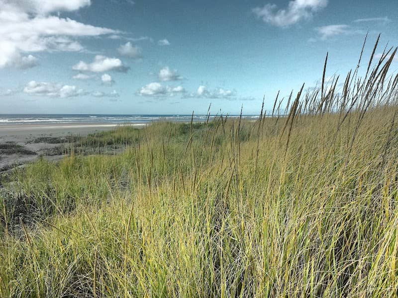 Pacific Pines State Park - Image 1