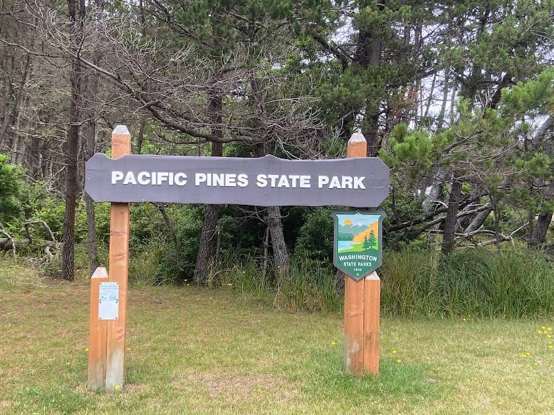 Pacific Pines State Park - Image 2