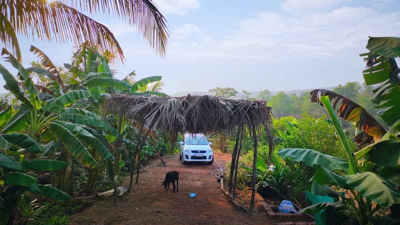 kaamtekar farm - Image 1