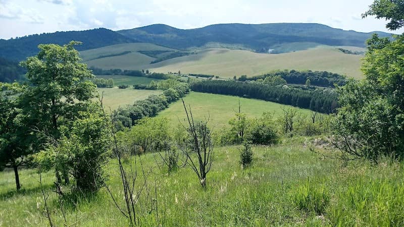 Buda-hegyi tanösvény - Image 1
