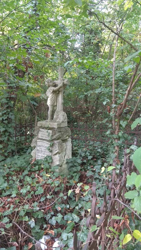 Tiszafüredi Nagyerdő - Image 1