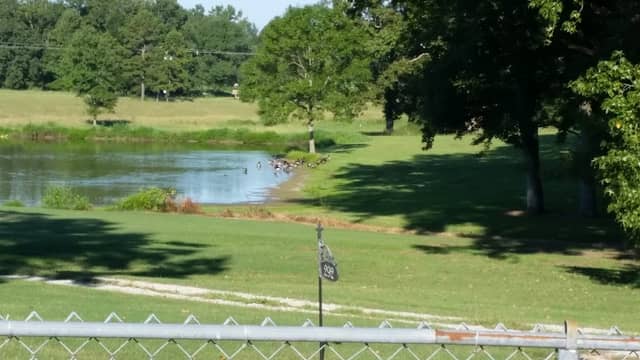 Algoma City Park - Image 2