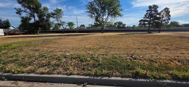Lions Park - Image 1