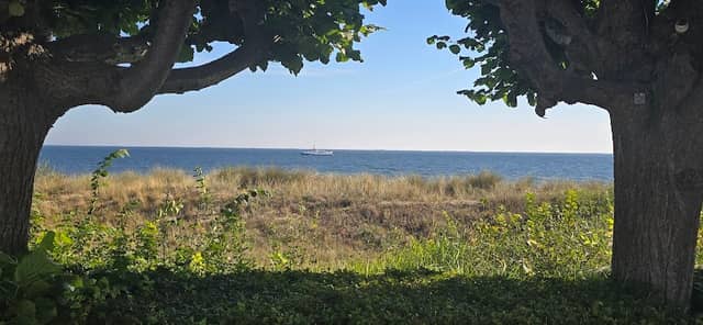 Rastplatz an der Promenade - Image 1