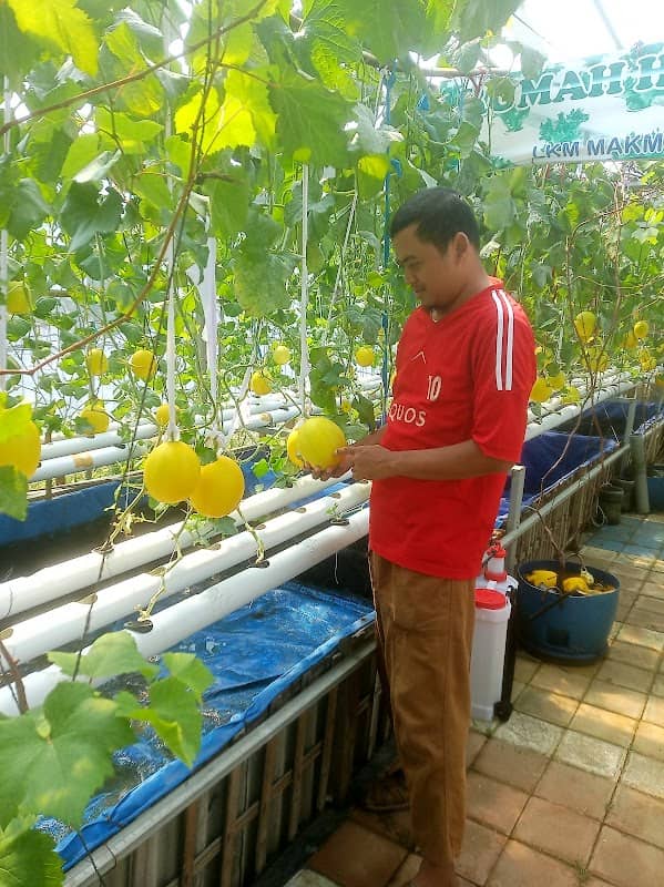 Taman Edukasi Ketapang - Image 2