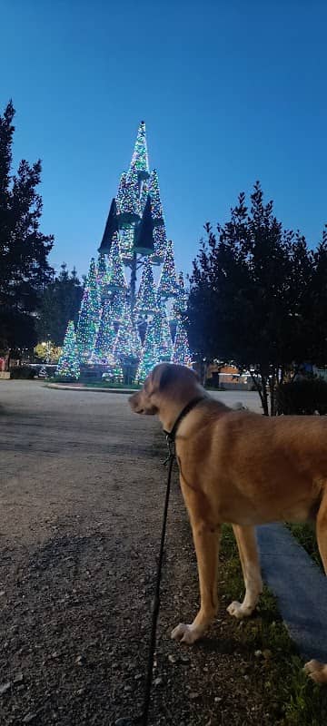 Park of Saint Parasceva - Image 2