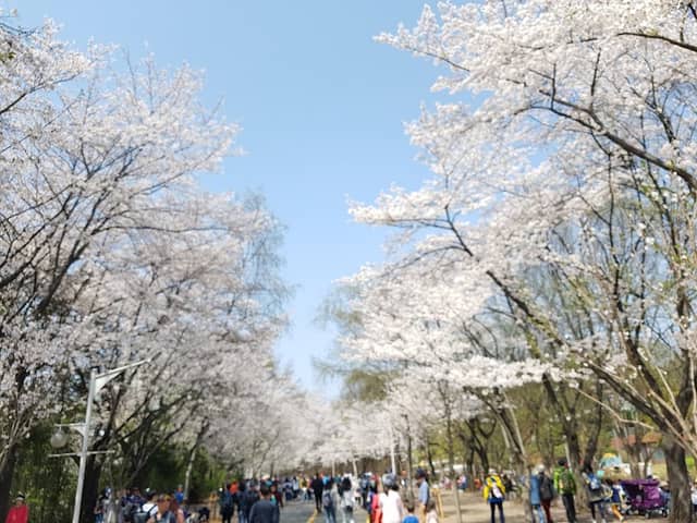 Incheon Grand Park Children's Zoo - Image 1