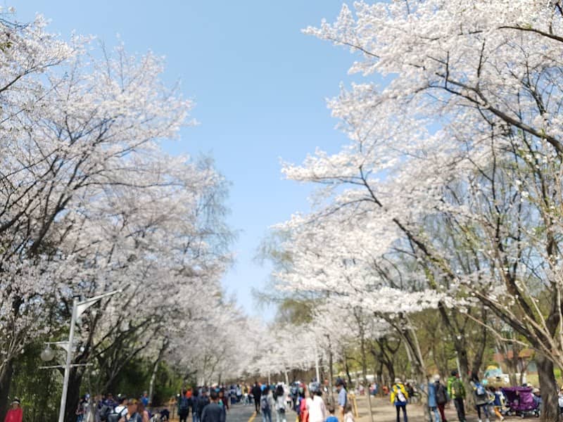 Incheon Grand Park Children's Zoo - Image 1