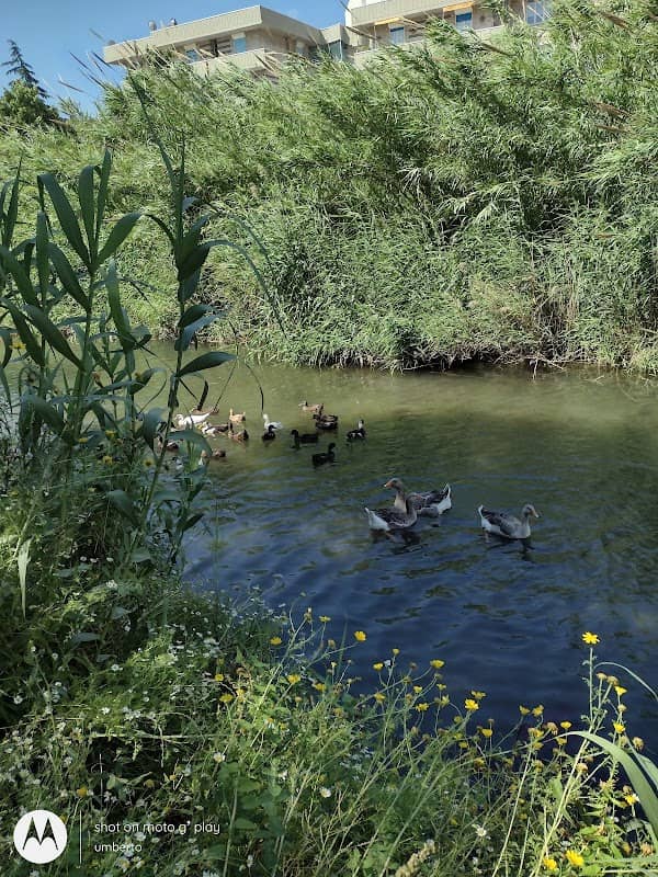 Parco Fluviale Testene - Image 1