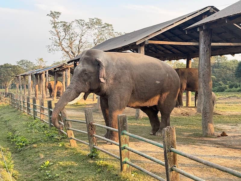 Elephant Breeding Centre Suspension Bridge - Image 1