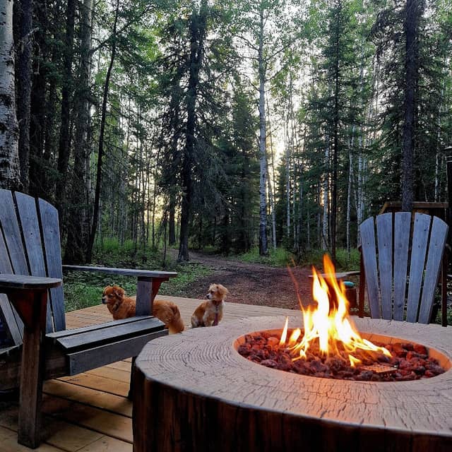 The Woods Experience - Image 2