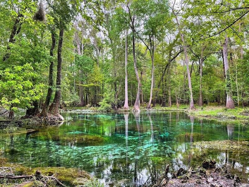 Ruth B. Kirby Gilchrist Blue Springs State Park - Image 2