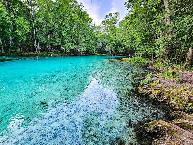 Ruth B. Kirby Gilchrist Blue Springs State Park - Image 1