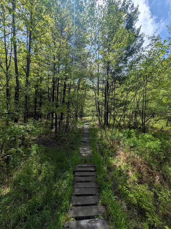 Binghamton University Nature Preserve - Image 1