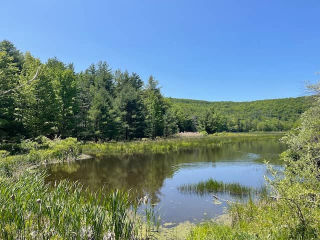 Binghamton University Nature Preserve - Image 2