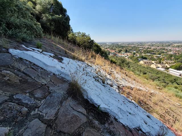 Bloemfontein White Horse - Image 2