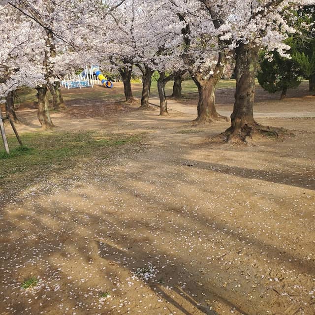 Urayasu Fuji - Image 2