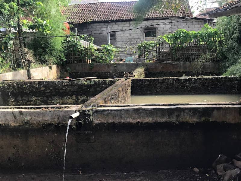 VILLA ROMANTIS - Image 1