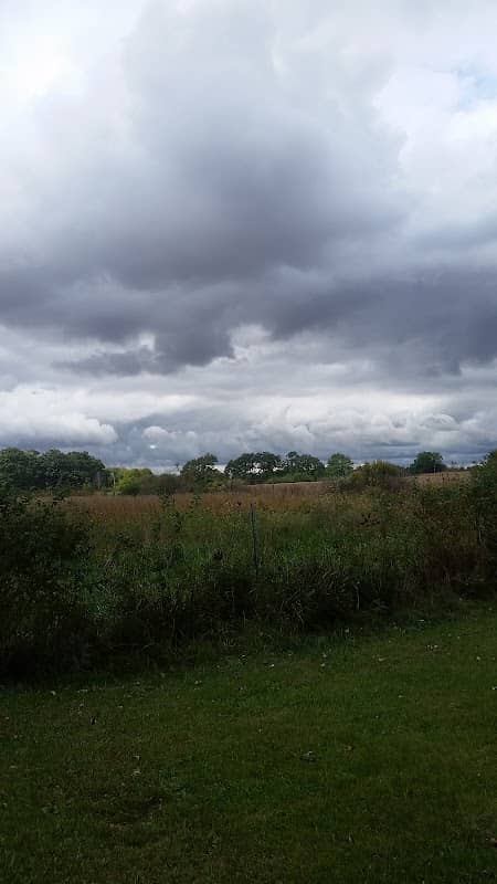 Ninovan Park - Image 3