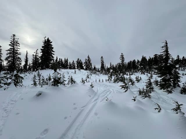 Hollyburn Mountain - Image 1