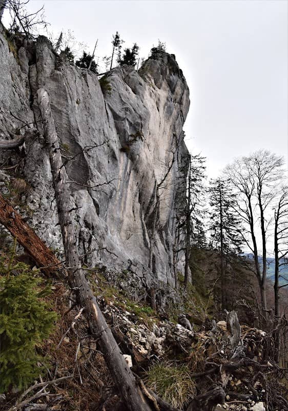 Wandlkogel - Image 2