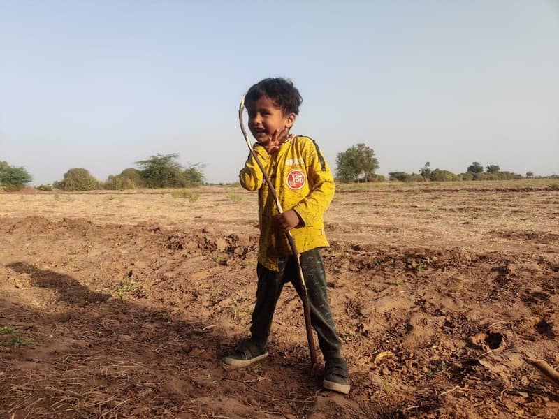 Ladhu dada ni wadi - Image 1