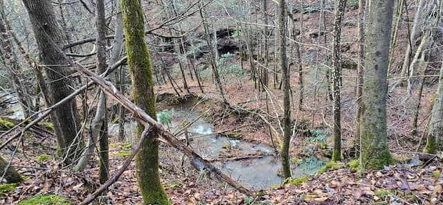 Cawood falls - Image 2