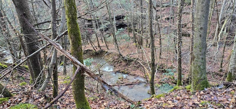 Cawood falls - Image 2