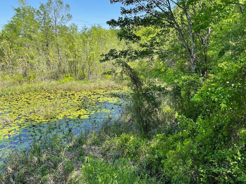 Dingle Pond Trail - Image 1